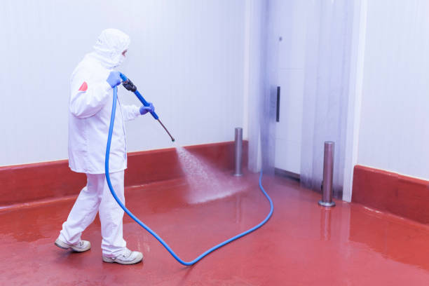 Best Winterizing Services  in Bayport, NY